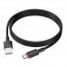 Кабель USB - USB Type-C BOROFONE BX110, (черный) 1м