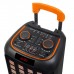 Колонка NDR-1098, Bluetooth, 59см, дин.2шт/8", 40Вт, пульт, микрофон, подсветка, черная