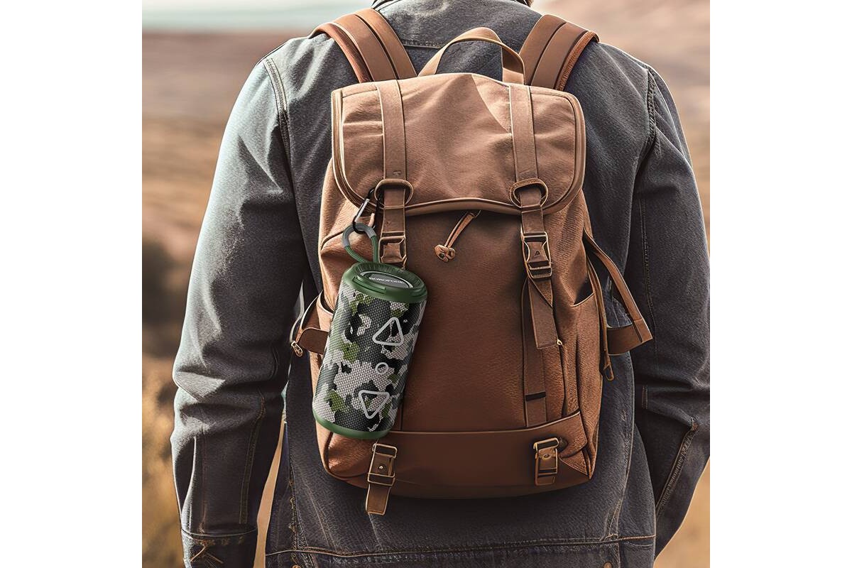 Портативная беспроводная колонка BOROFONE BR37 Noble sports (красный)