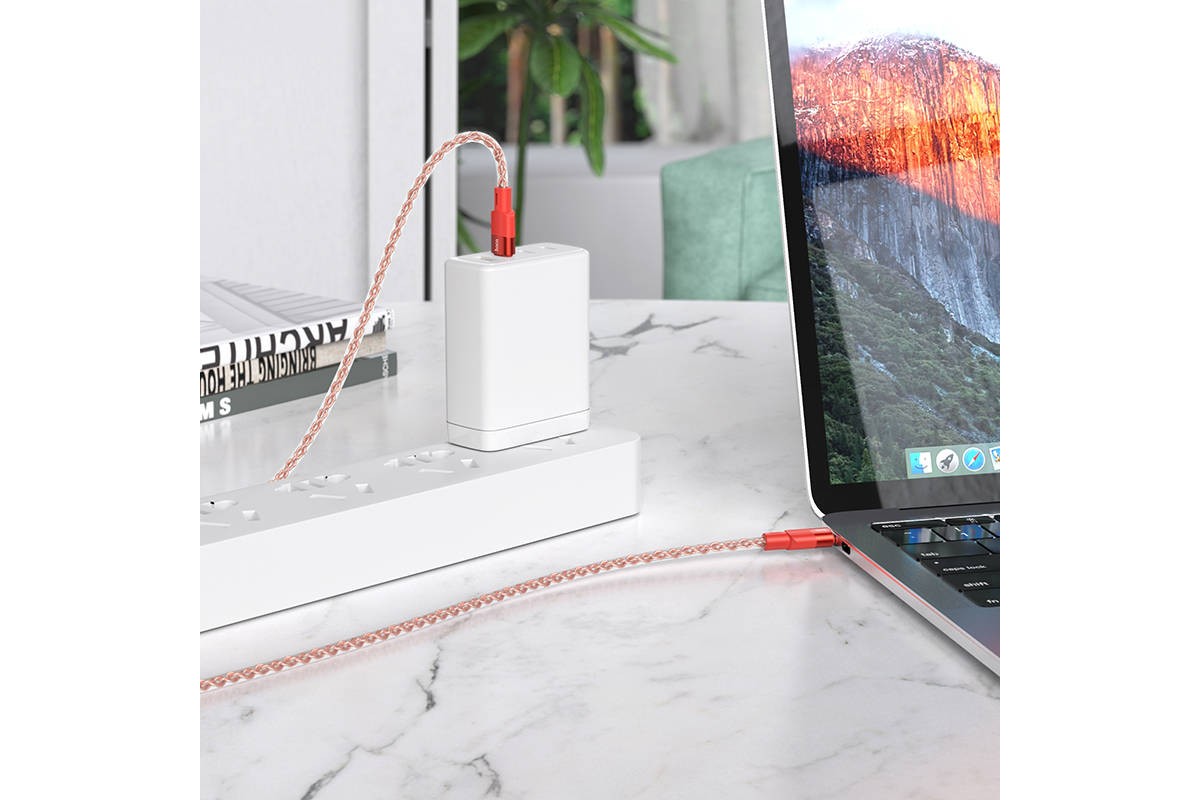 Кабель USB Type-C - USB Type-C HOCO X99 PD60W (серый) 1м