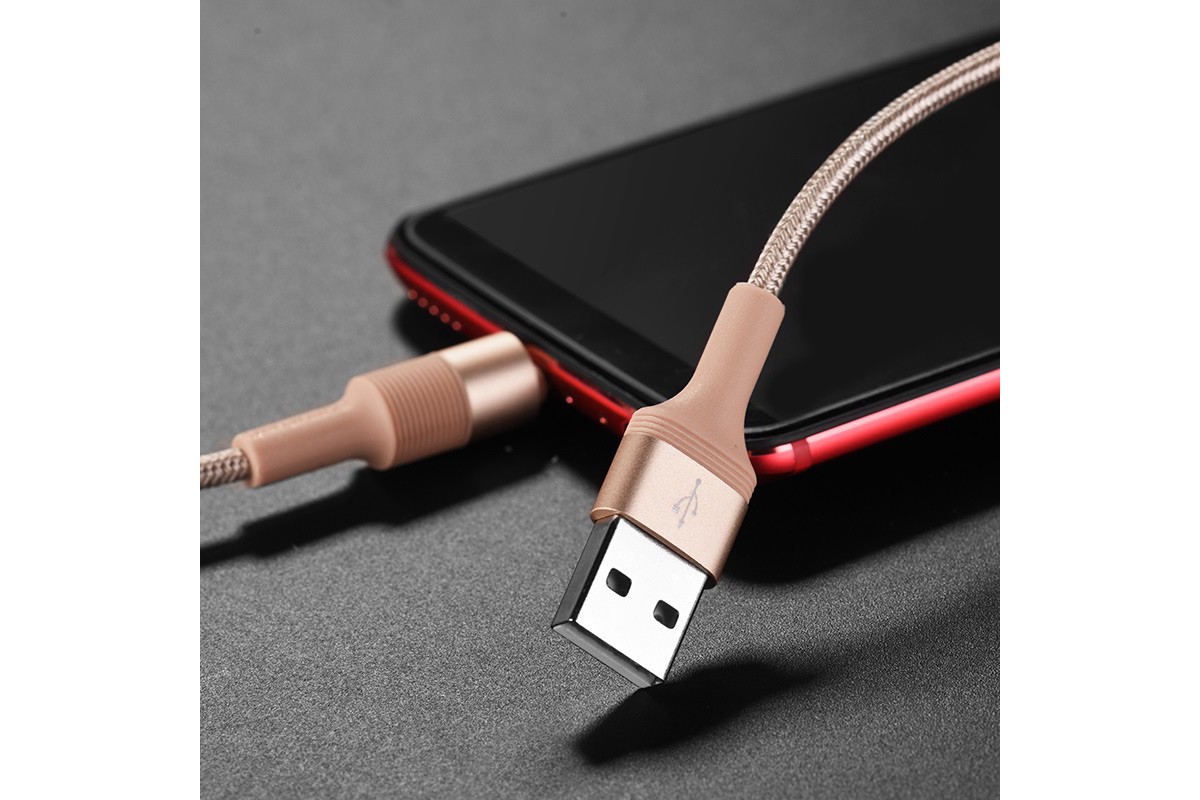 Кабель USB - USB Type-C BOROFONE BX21, 3A золотой 1м (в оплетке)