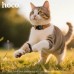 Беспроводная метка AirTag HOCO E91C Tiger intelligent positioning anti-lost device(pet collar type)