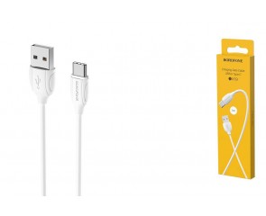 Кабель USB - USB Type-C BOROFONE BX19, 2A (белый) 1м 
