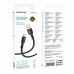 Кабель USB - USB Type-C BOROFONE BX116 (черный) 1м