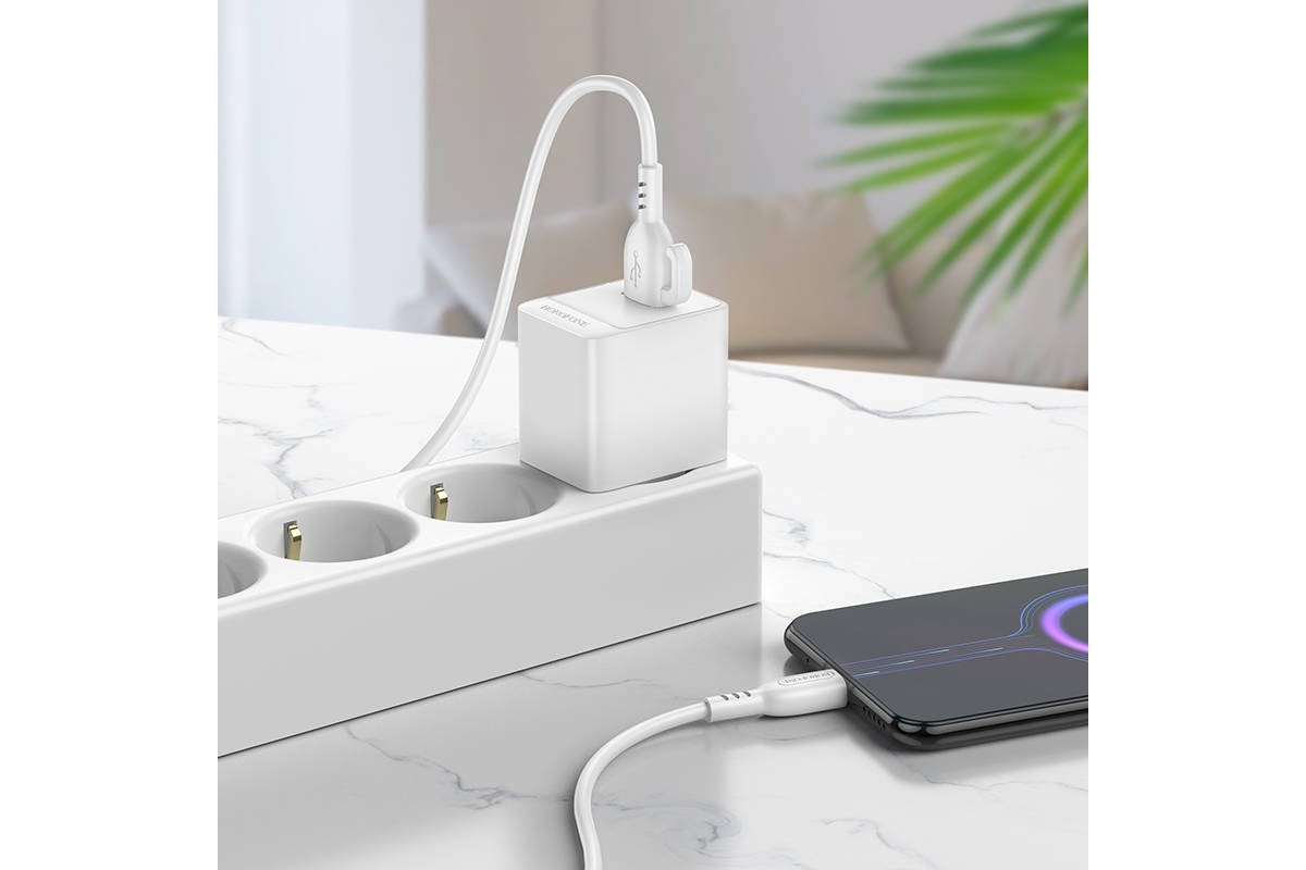 Сетевое зарядное устройство USB BOROFONE BAS11A Erudite (белый)