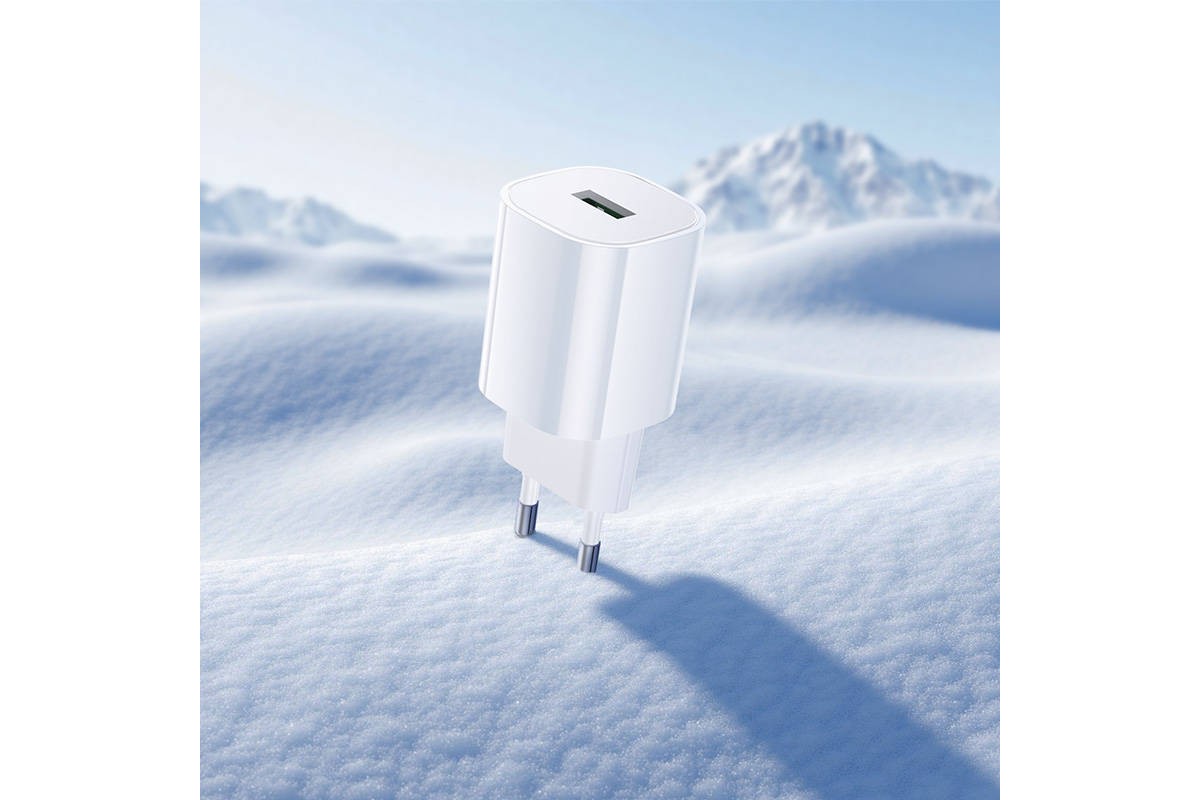 Сетевое зарядное устройство USB-C BOROFONE BA102A Pudding QC3.0 (белый)
