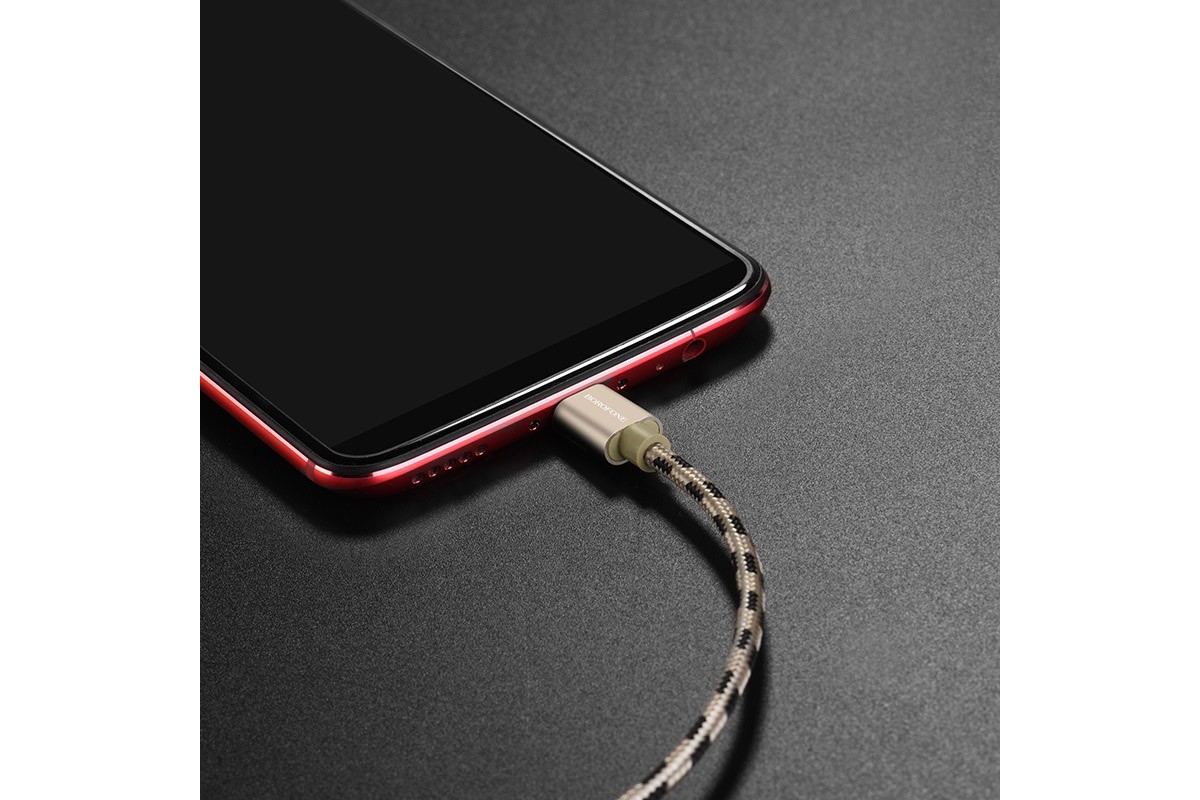 Кабель USB BOROFONE BX24 Ring current charging data cable for Type-C (золотой) 1 метр