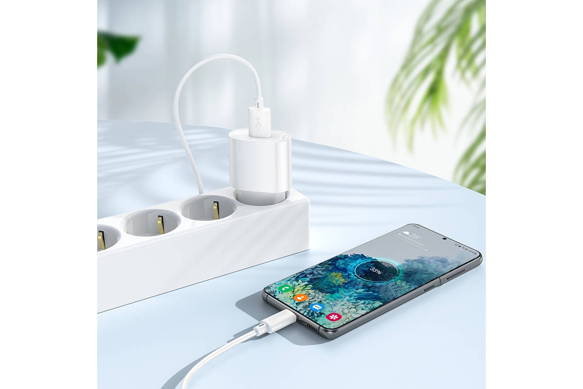 Сетевое зарядное устройство USB HOCO C109A (10.5W) Fighter (EU) (белый)