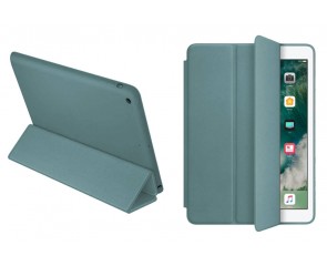 Чехол-книжка Smart Case для планшета iPad Pro 11 (2018) - Сосновый Лес (19)