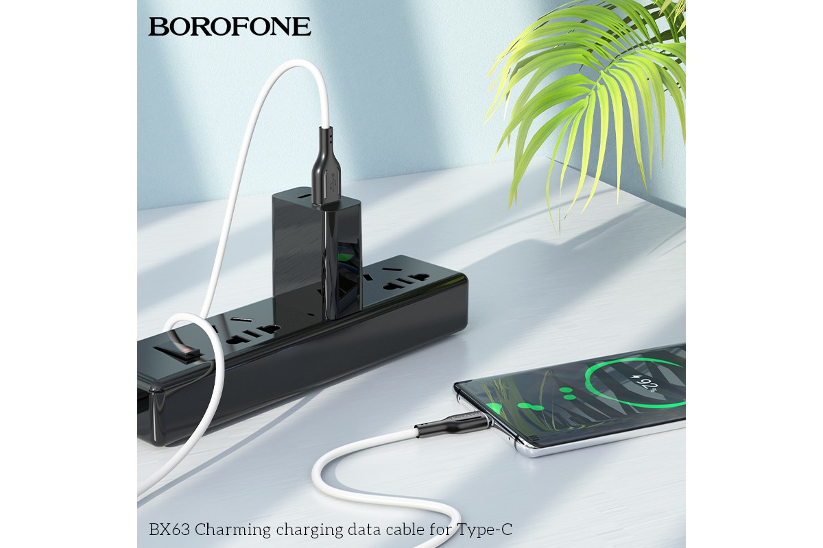 Кабель USB - USB Type-C BOROFONE BX63, 3A белый 1м