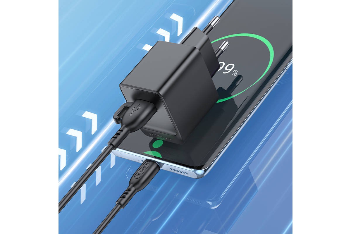 Сетевое зарядное устройство USB + кабель Type-C BOROFONE BAS11A Erudite (черный)