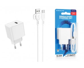 Сетевое зарядное устройство USB + кабель Type-C BOROFONE BAS11A Erudite (белый)