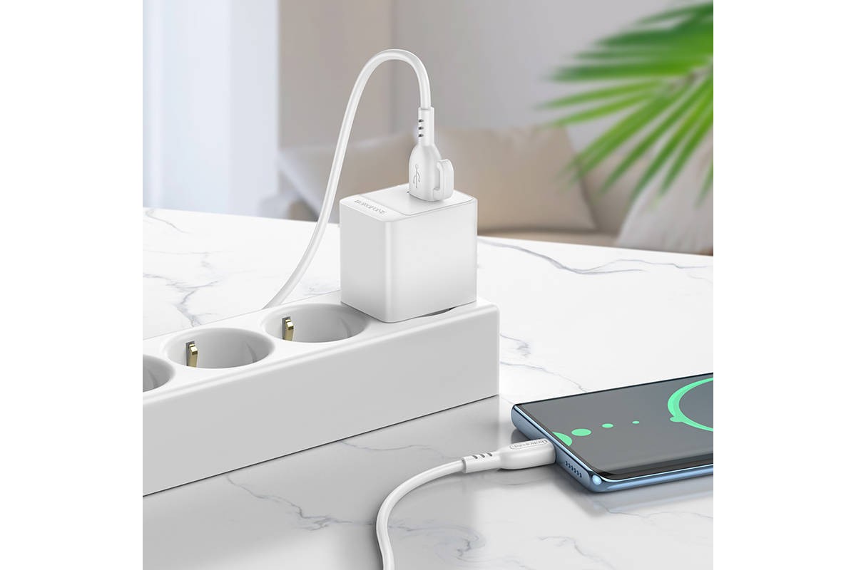 Сетевое зарядное устройство USB + кабель Type-C BOROFONE BAS11A Erudite (белый)