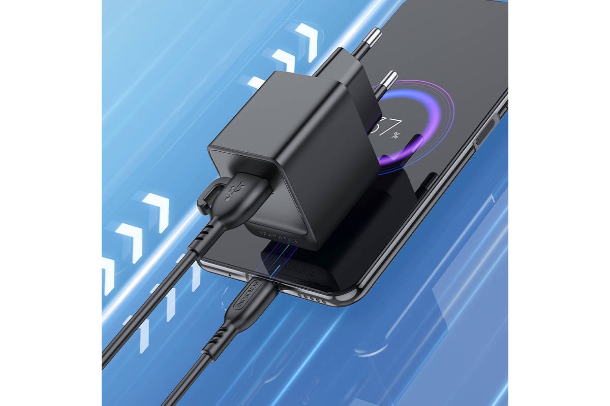 Сетевое зарядное устройство USB + кабель MicroUSB BOROFONE BAS11A Erudite (белый)