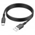 Кабель USB - USB Type-C BOROFONE BX80, 2,4A (черный) 1м